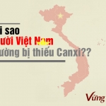 Những nguyên nhân khiến người Việt Nam thường bị thiếu canxi