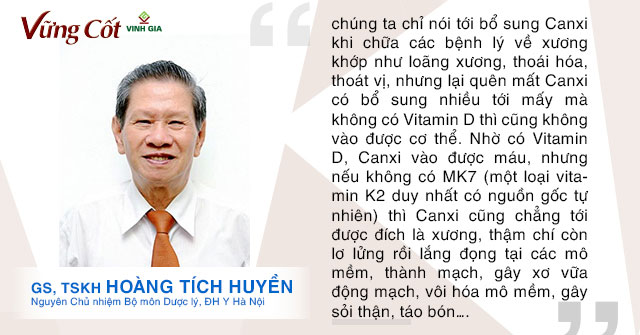 Lời khuyên của GS, TSKH Hoàng Tích Huyền về việc bổ sung canxi cho cơ thể